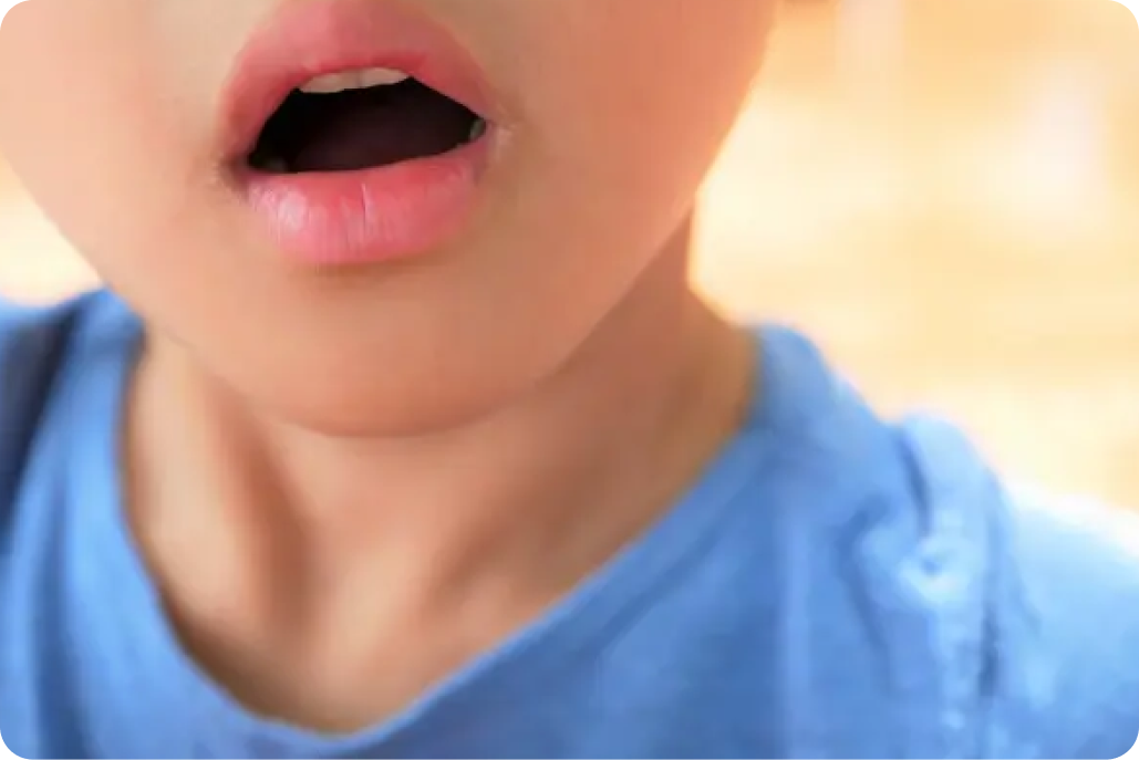 kourinshika-oral_development