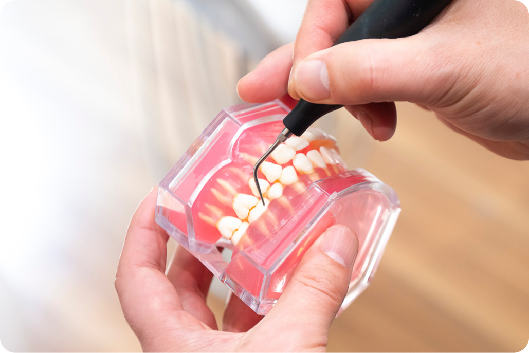 kourinshika-periodontal_flow_02